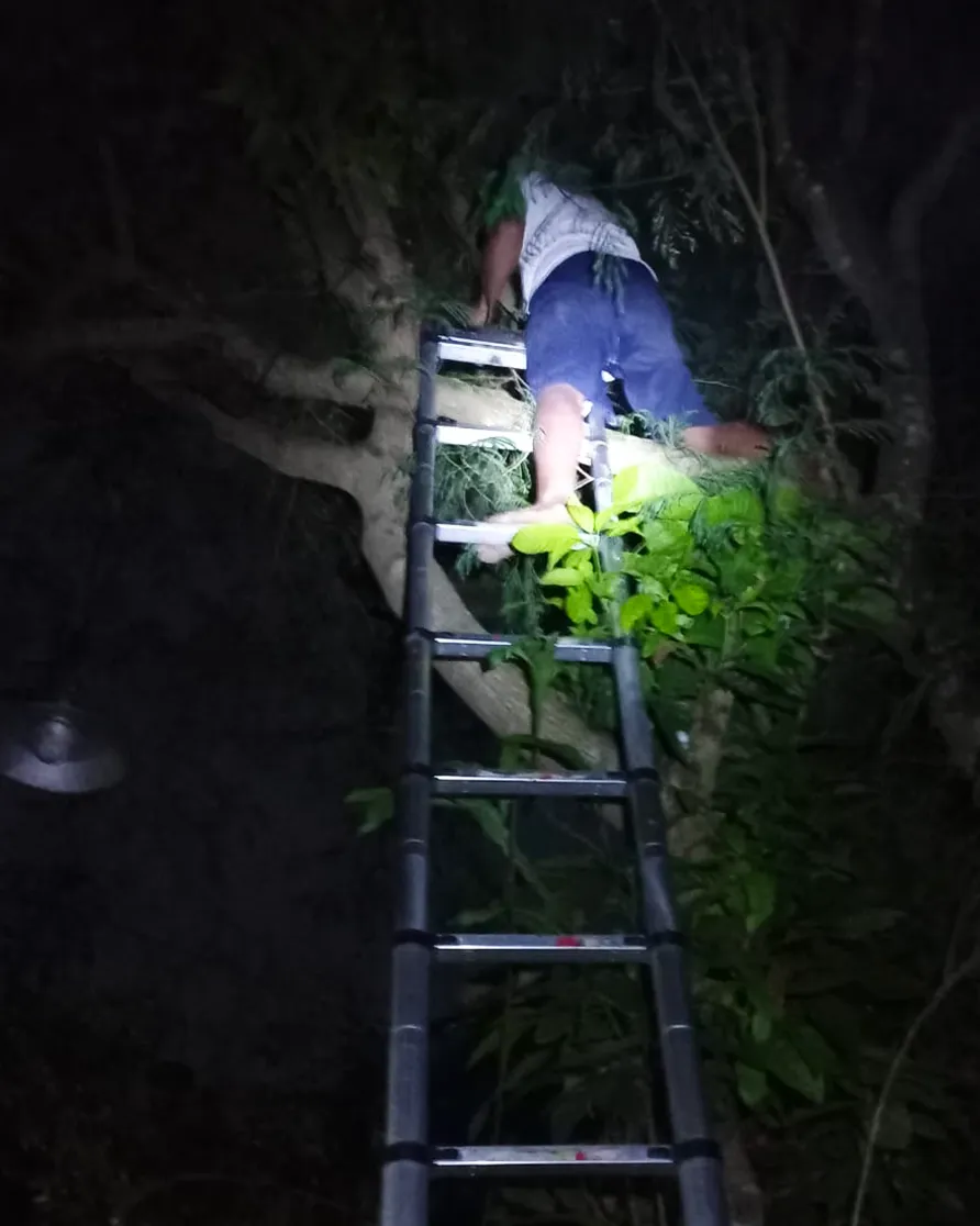 Kerja Lingkungan